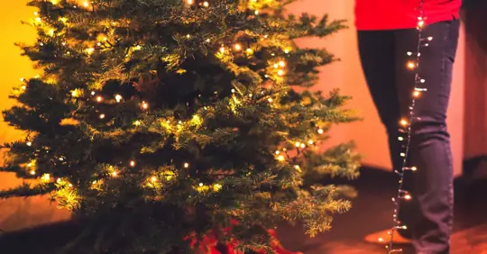 putting up holiday lights